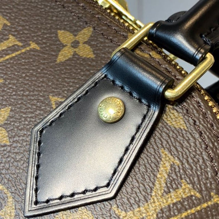 LV Alma BB Monogram Canvas