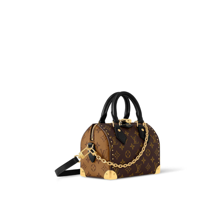 LV Speedy Trunk 20 Bag Monogram Canvas